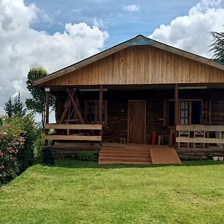 דירות Timau The Wonky House מראה חיצוני תמונה