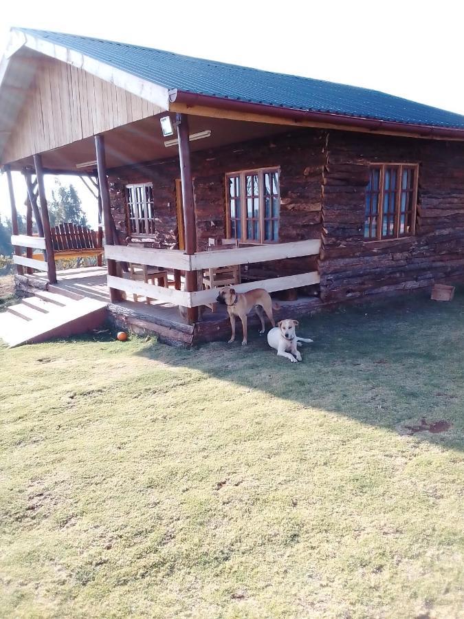 דירות Timau The Wonky House מראה חיצוני תמונה